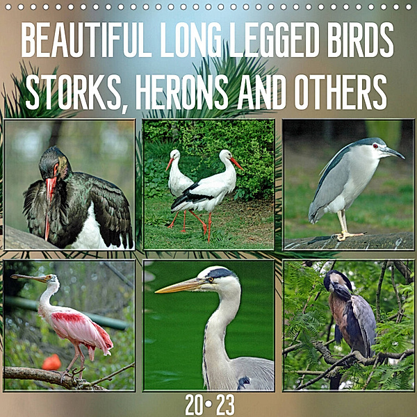 Beautiful long legged birds (Wall Calendar 2023 300 × 300 mm Square), Claudia Kleemann