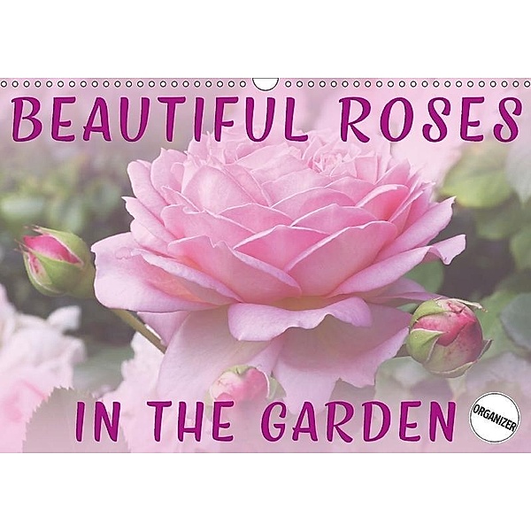 Beautiful Roses in the Garden (Wall Calendar 2017 DIN A3 Landscape), Martina Cross