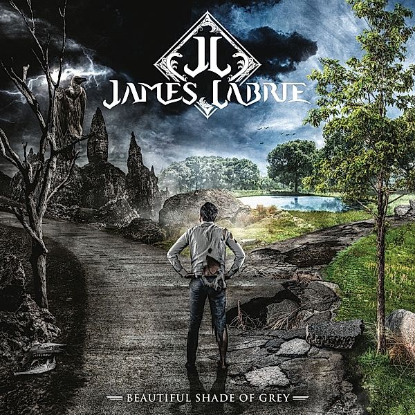 Beautiful Shade Of Grey (Vinyl), James Labrie