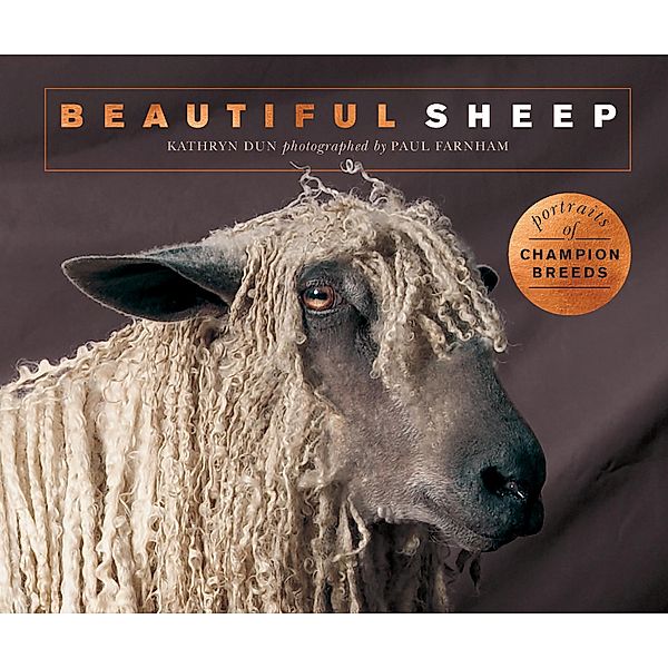 Beautiful Sheep / Beautiful Animals, Kathryn Dun