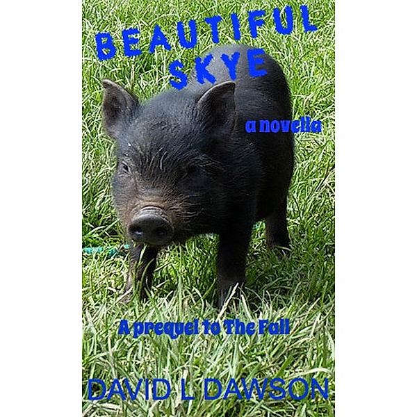 Beautiful Skye (A novella prequel to The Fall), David L Dawson