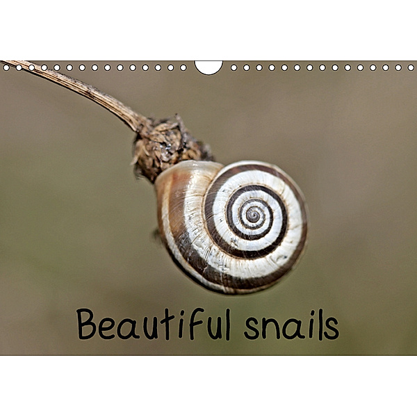 Beautiful snails (Wall Calendar 2019 DIN A4 Landscape), Christine Schmutzler-Schaub