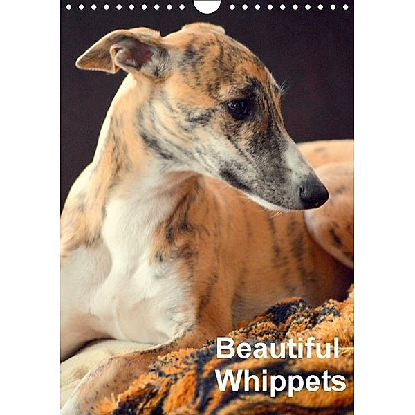 Beautiful Whippets (Wall Calendar 2017 DIN A4 Portrait), Ula Redl