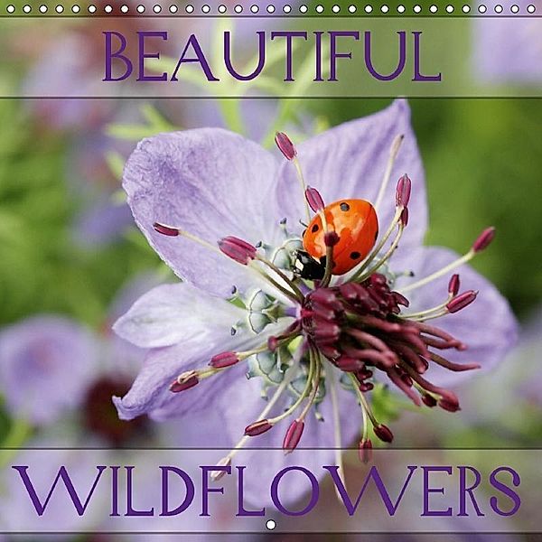 Beautiful Wildflowers (Wall Calendar 2017 300 × 300 mm Square), Gisela Kruse