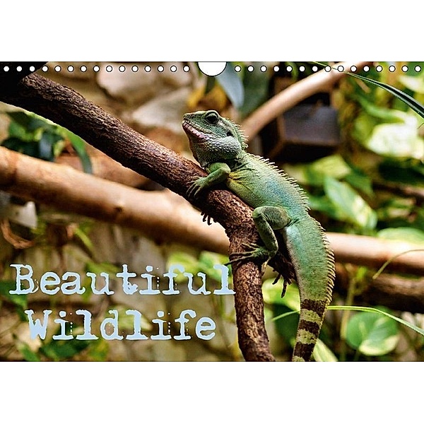 Beautiful Wildlife / UK-Version (Wall Calendar 2017 DIN A4 Landscape), Helmut Schneller