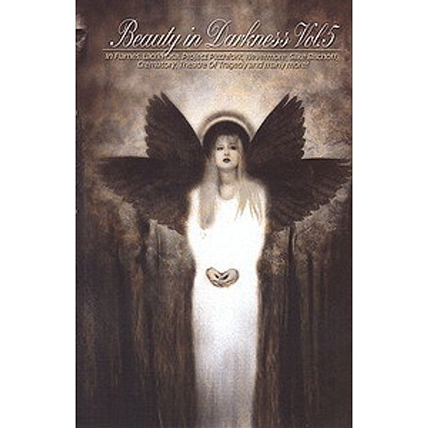 Beauty In Darkness - Vol. 5, Diverse Interpreten