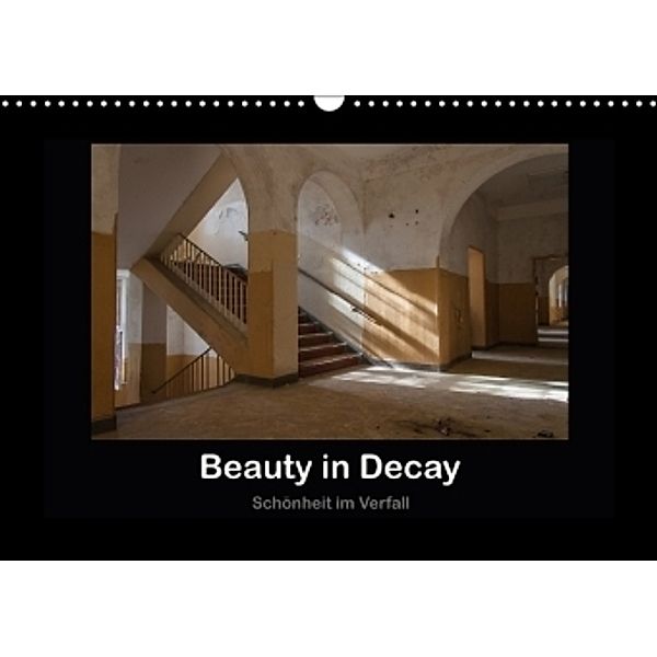 Beauty in Decay 2 - Schönheit im Verfall - (Wandkalender 2017 DIN A3 quer), el.kra-photographie