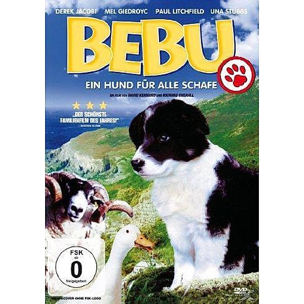Bebu - Ein Hund für alle Schafe