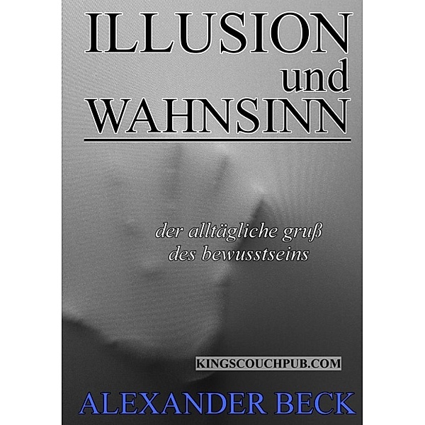 Beck, A: Illusion und Wahnsinn