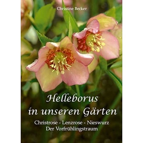 Becker, C: Helleborus in unseren Gärten, Christine Becker