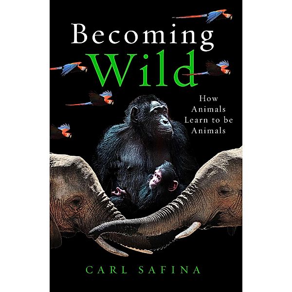 Becoming Wild, Carl Safina