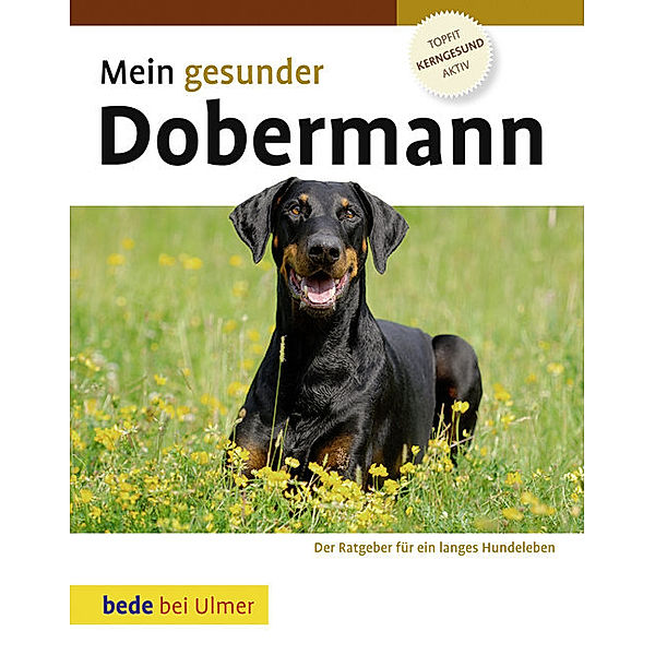 bede bei Ulmer / Mein gesunder Dobermann, Lowell Ackerman