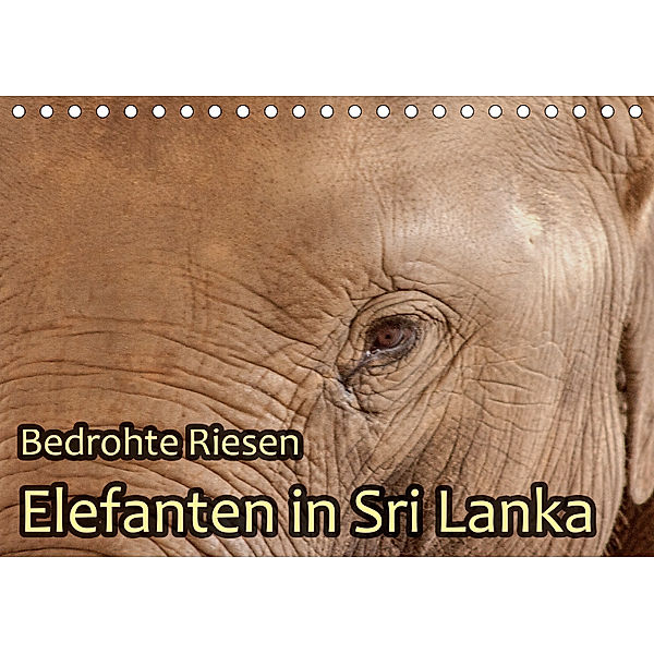 Bedrohte Riesen - Elefanten in Sri Lanka (Tischkalender 2019 DIN A5 quer), Jörg Sobottka
