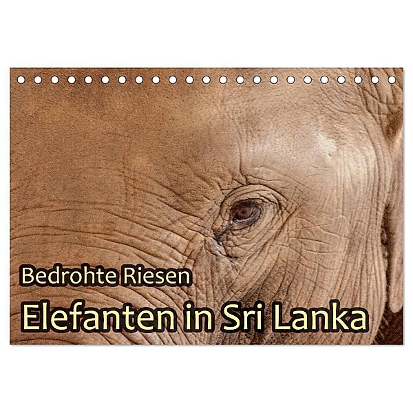 Bedrohte Riesen - Elefanten in Sri Lanka (Tischkalender 2024 DIN A5 quer), CALVENDO Monatskalender, Jörg Sobottka