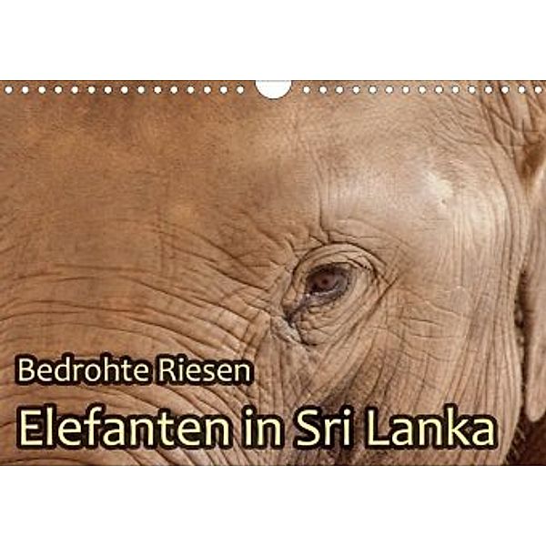 Bedrohte Riesen - Elefanten in Sri Lanka (Wandkalender 2020 DIN A4 quer), Jörg Sobottka