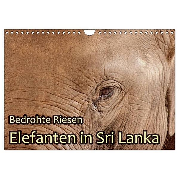 Bedrohte Riesen - Elefanten in Sri Lanka (Wandkalender 2024 DIN A4 quer), CALVENDO Monatskalender, Jörg Sobottka