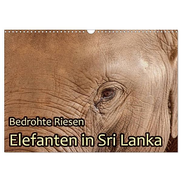 Bedrohte Riesen - Elefanten in Sri Lanka (Wandkalender 2024 DIN A3 quer), CALVENDO Monatskalender, Jörg Sobottka