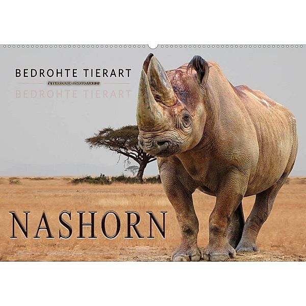 Bedrohte Tierart - Nashorn (Wandkalender 2023 DIN A2 quer), Peter Roder