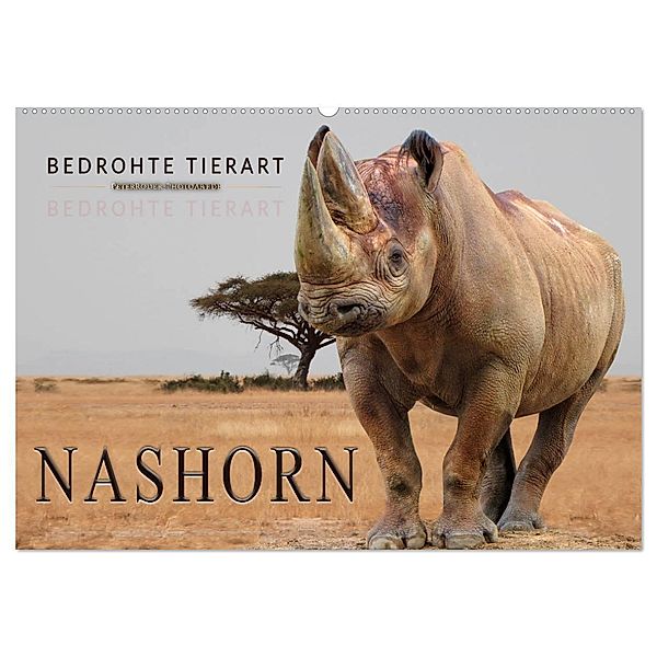 Bedrohte Tierart - Nashorn (Wandkalender 2024 DIN A2 quer), CALVENDO Monatskalender, Peter Roder