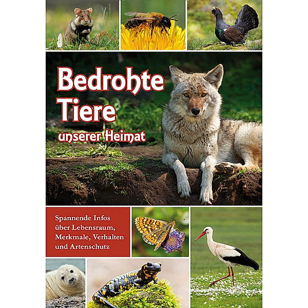 Bedrohte Tiere unserer Heimat