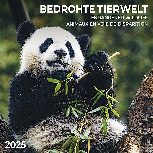 Bedrohte Tierwelt 2025