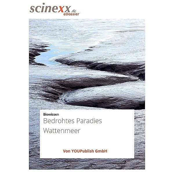 Bedrohtes Paradies Wattenmeer, Ute Schlotterbeck