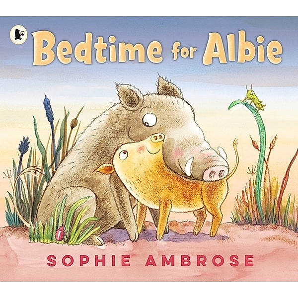 Bedtime for Albie, Sophie Ambrose