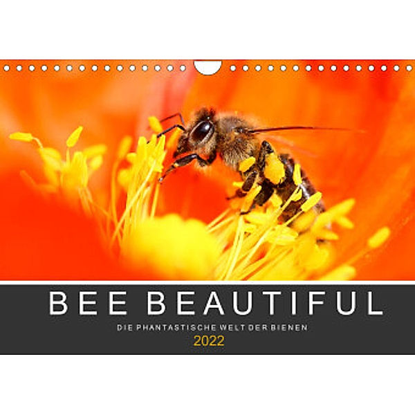 Bee Beautiful - Die phantastische Welt der Bienen (Wandkalender 2022 DIN A4 quer), Andrea Schwarz