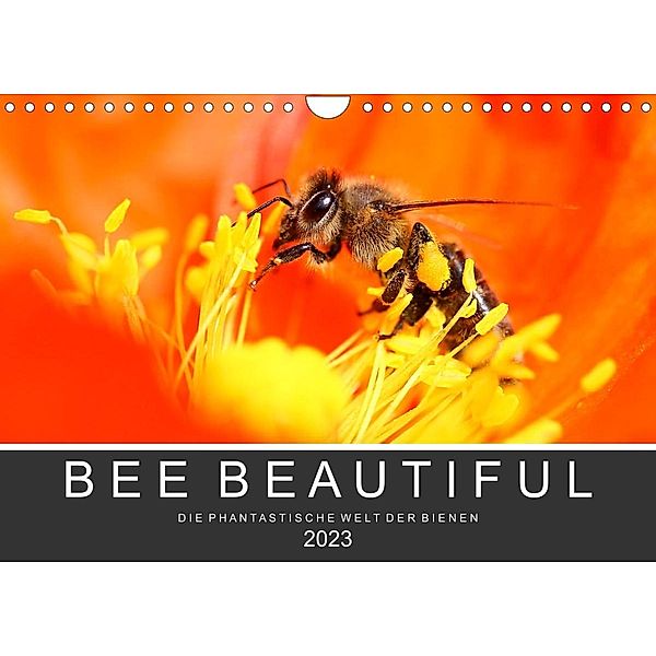 Bee Beautiful - Die phantastische Welt der Bienen (Wandkalender 2023 DIN A4 quer), Andrea Schwarz