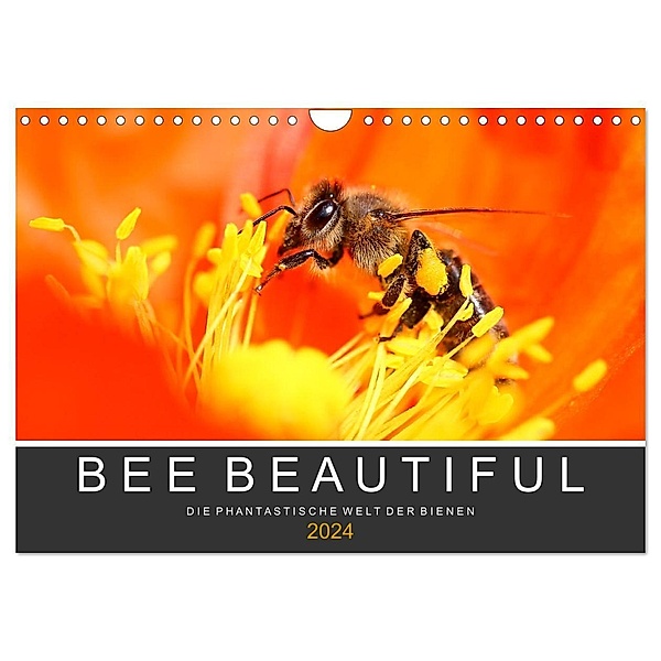 Bee Beautiful - Die phantastische Welt der Bienen (Wandkalender 2024 DIN A4 quer), CALVENDO Monatskalender, Andrea Schwarz