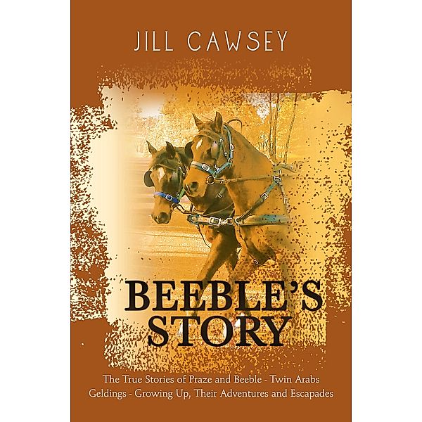 Beeble's Story, Jill Cawsey