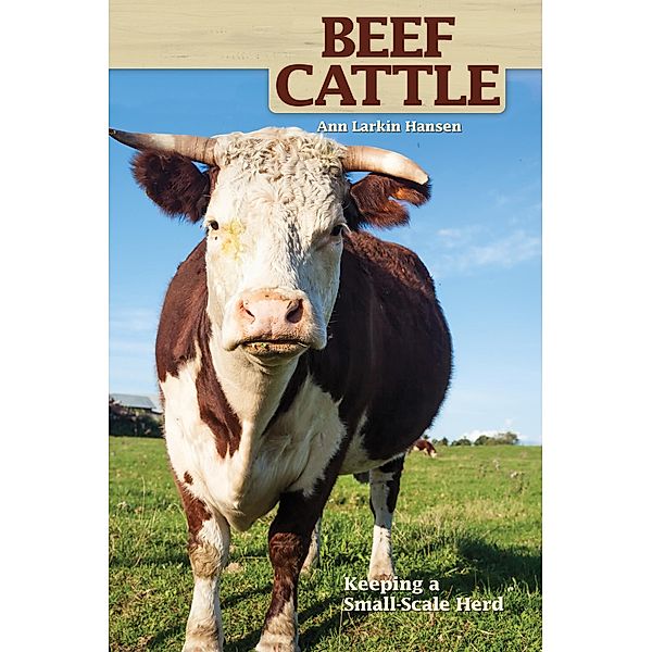 Beef Cattle, Ann Larkin Hansen