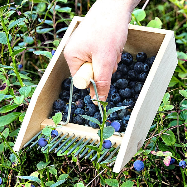 Beerenpflücker Ernteglück, Buchenholz