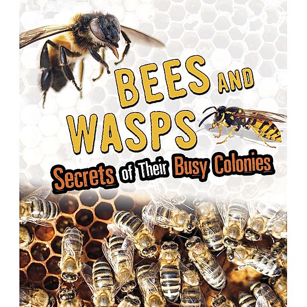 Bees and Wasps, Sara Lynn Latta