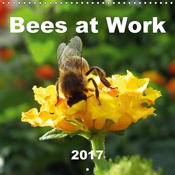 Bees at Work (Wall Calendar 2017 300 × 300 mm Square), Linda Schilling and Michael Wlotzka