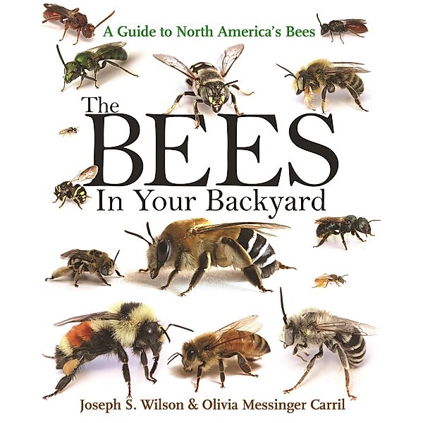 Bees in Your Backyard, Joseph S. Wilson