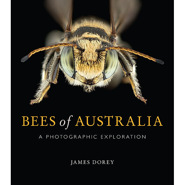 Bees of Australia, James Dorey