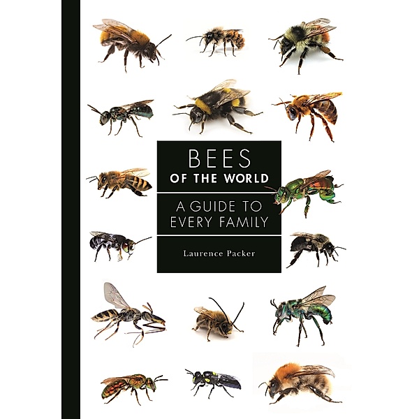 Bees of the World, Laurence Packer