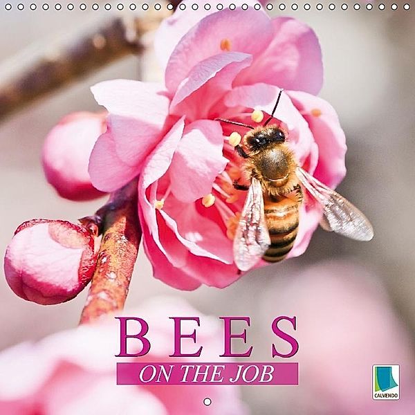 Bees On The Job (Wall Calendar 2018 300 × 300 mm Square), CALVENDO