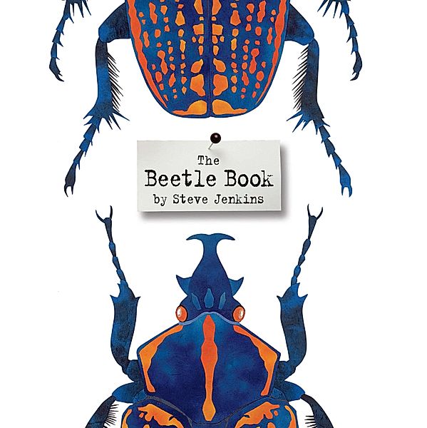 Beetle Book / Clarion Books, Steve Jenkins