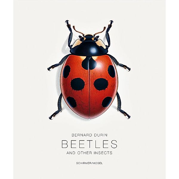 Beetles and Other Insects, Bernard Durin, Gerhard Scherer