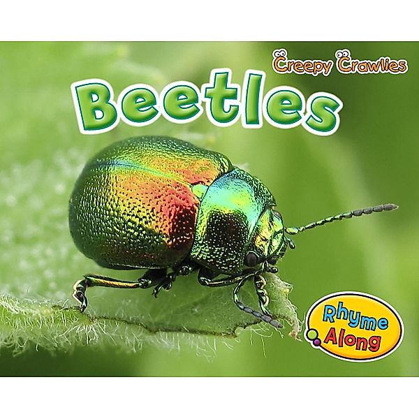 Beetles / Raintree Publishers, Rebecca Rissman