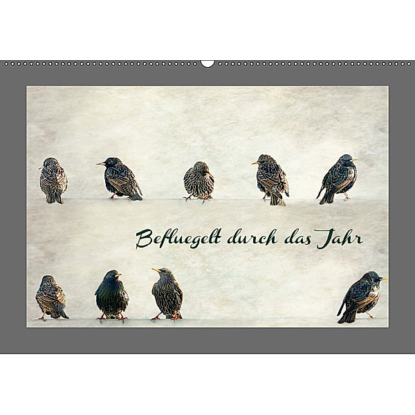 Beflügelt durch das Jahr (Wandkalender 2019 DIN A2 quer), Heike Hultsch