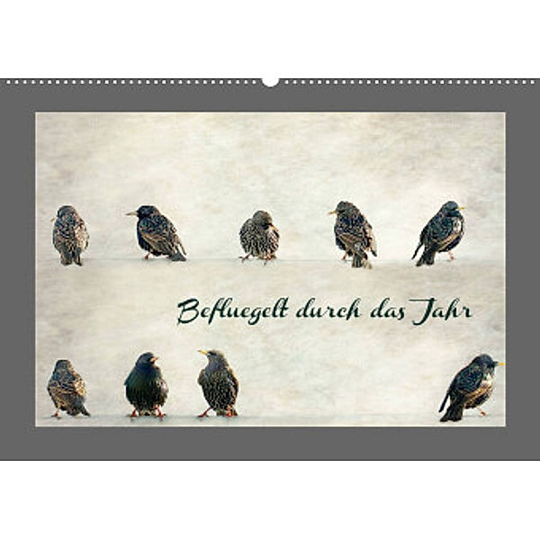 Beflügelt durch das Jahr (Wandkalender 2022 DIN A2 quer), Heike Hultsch