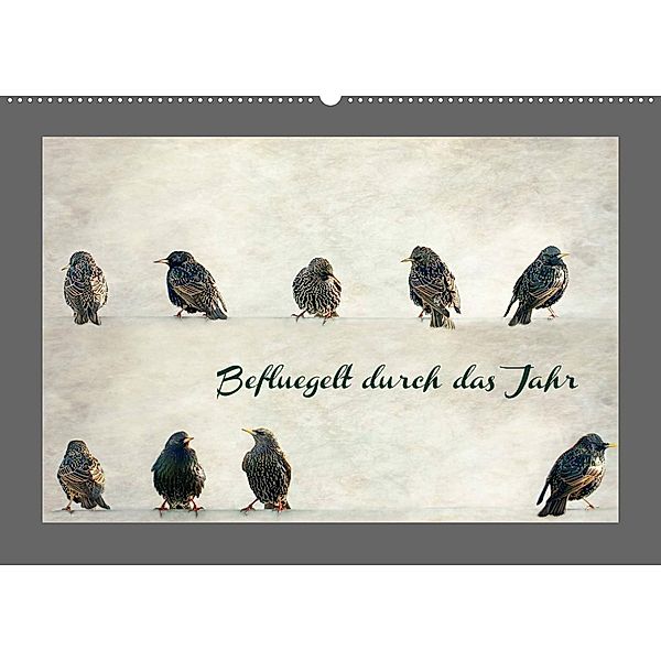 Beflügelt durch das Jahr (Wandkalender 2023 DIN A2 quer), Heike Hultsch