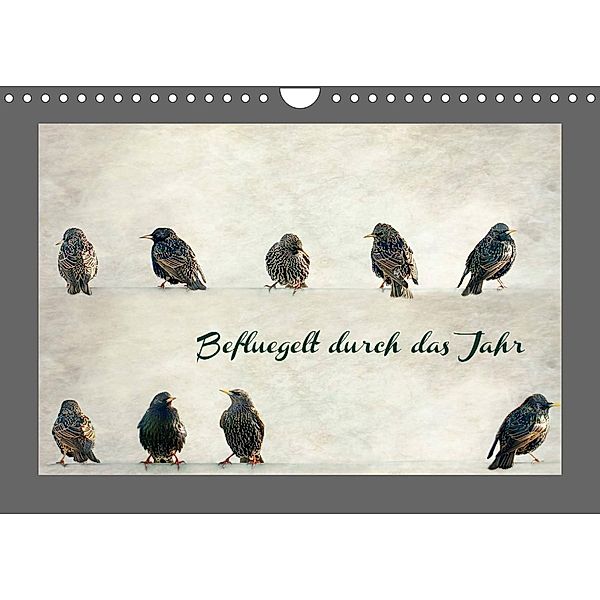 Beflügelt durch das Jahr (Wandkalender 2023 DIN A4 quer), Heike Hultsch