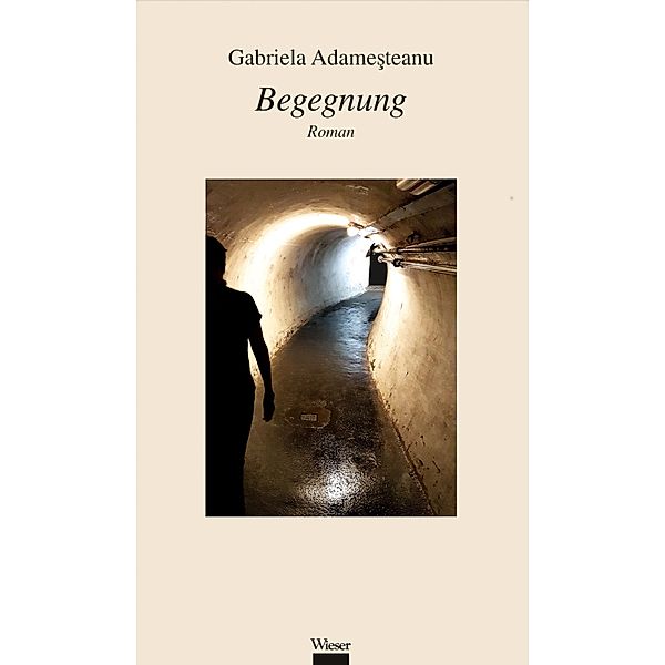 Begegnung, Gabriela Adame¿teanu