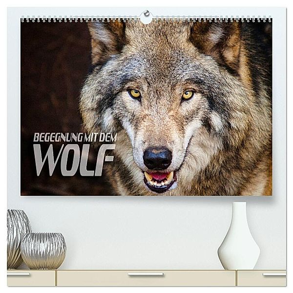 Begegnung mit dem Wolf (hochwertiger Premium Wandkalender 2024 DIN A2 quer), Kunstdruck in Hochglanz, Renate Bleicher