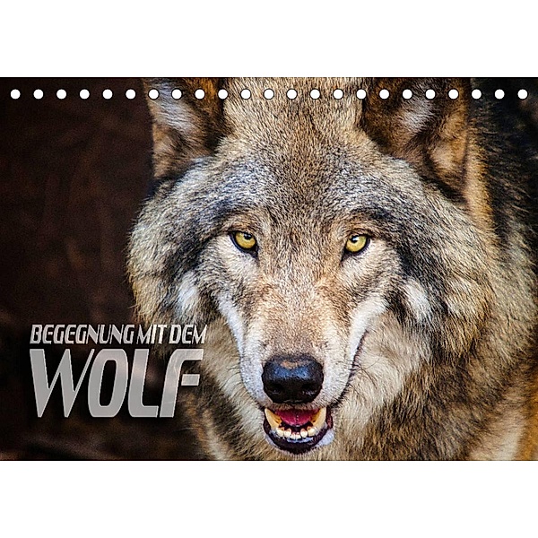Begegnung mit dem Wolf (Tischkalender 2023 DIN A5 quer), Renate Bleicher
