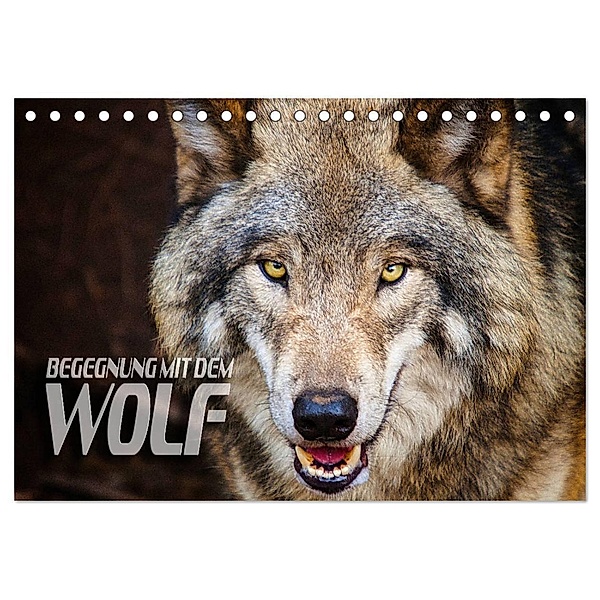 Begegnung mit dem Wolf (Tischkalender 2024 DIN A5 quer), CALVENDO Monatskalender, Renate Bleicher